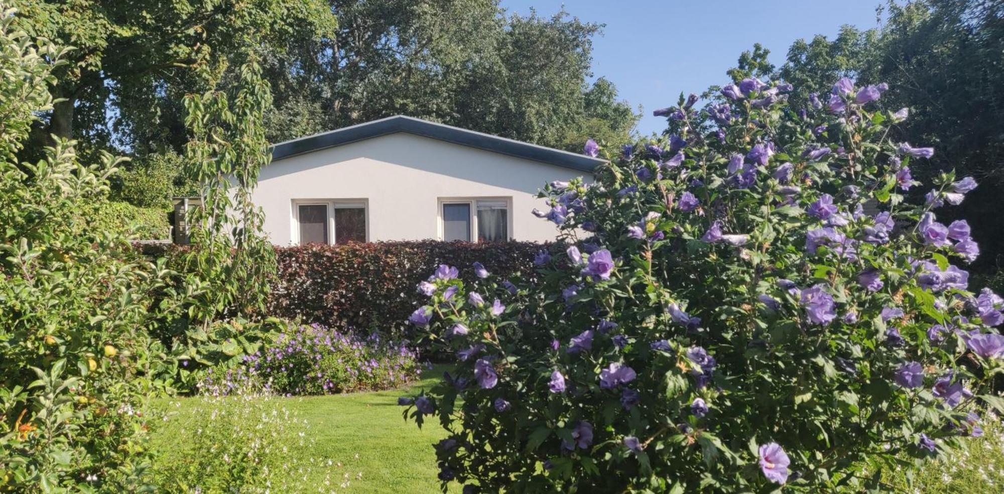 Vakantiebungalow Texel De Cocksdorp  Ngoại thất bức ảnh